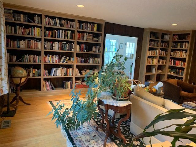 bookshelves in a room with sofa and plants on table in the center of the room